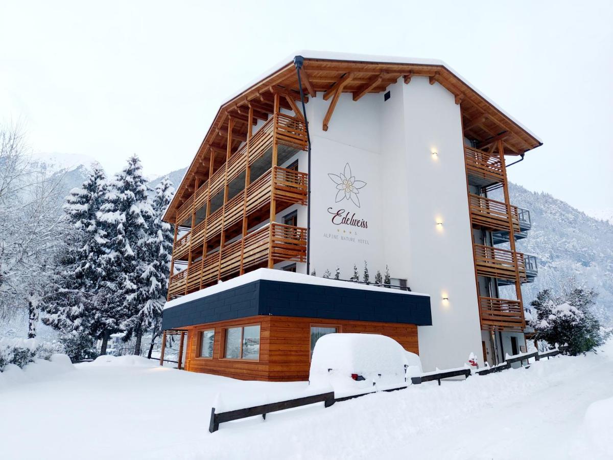 Edelweiss Alpine Nature Pinzolo Exterior photo